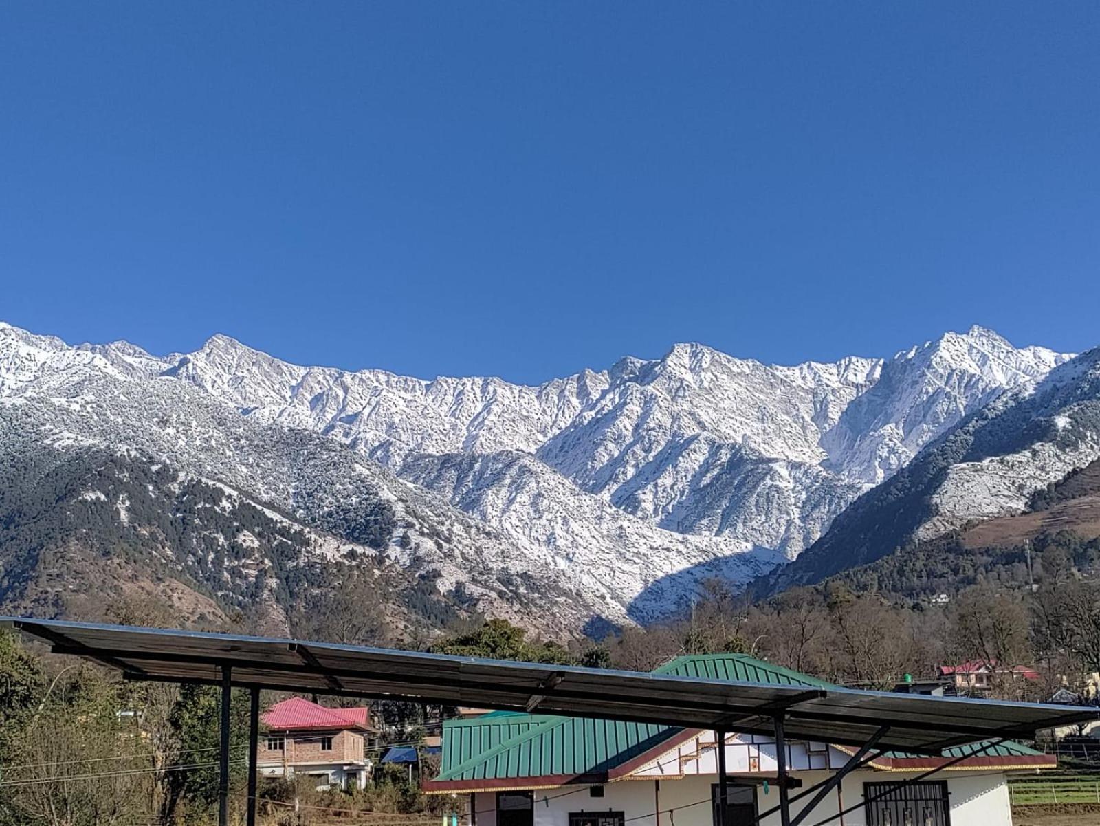 Homestay Palampur View Ngoại thất bức ảnh