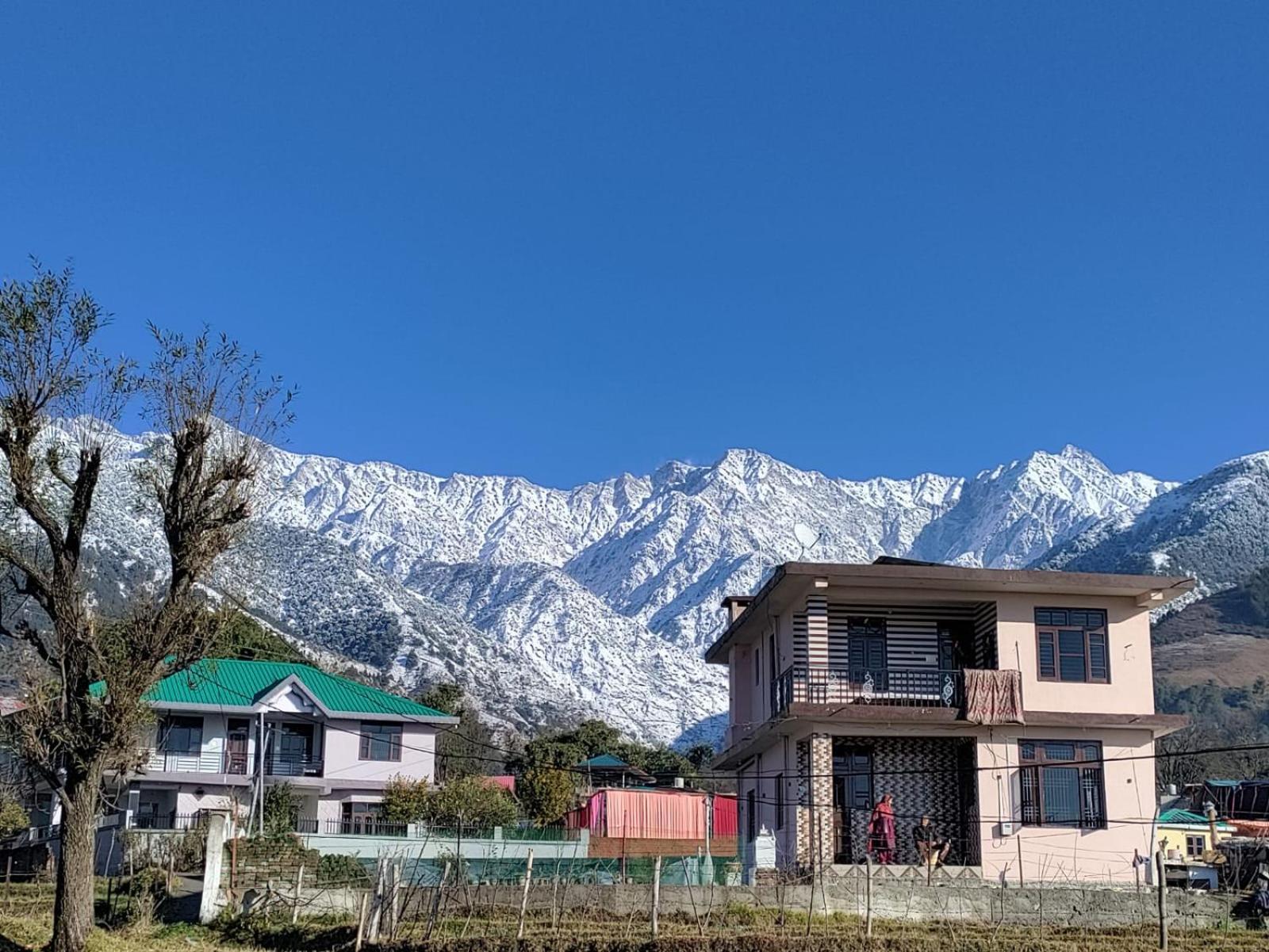 Homestay Palampur View Ngoại thất bức ảnh